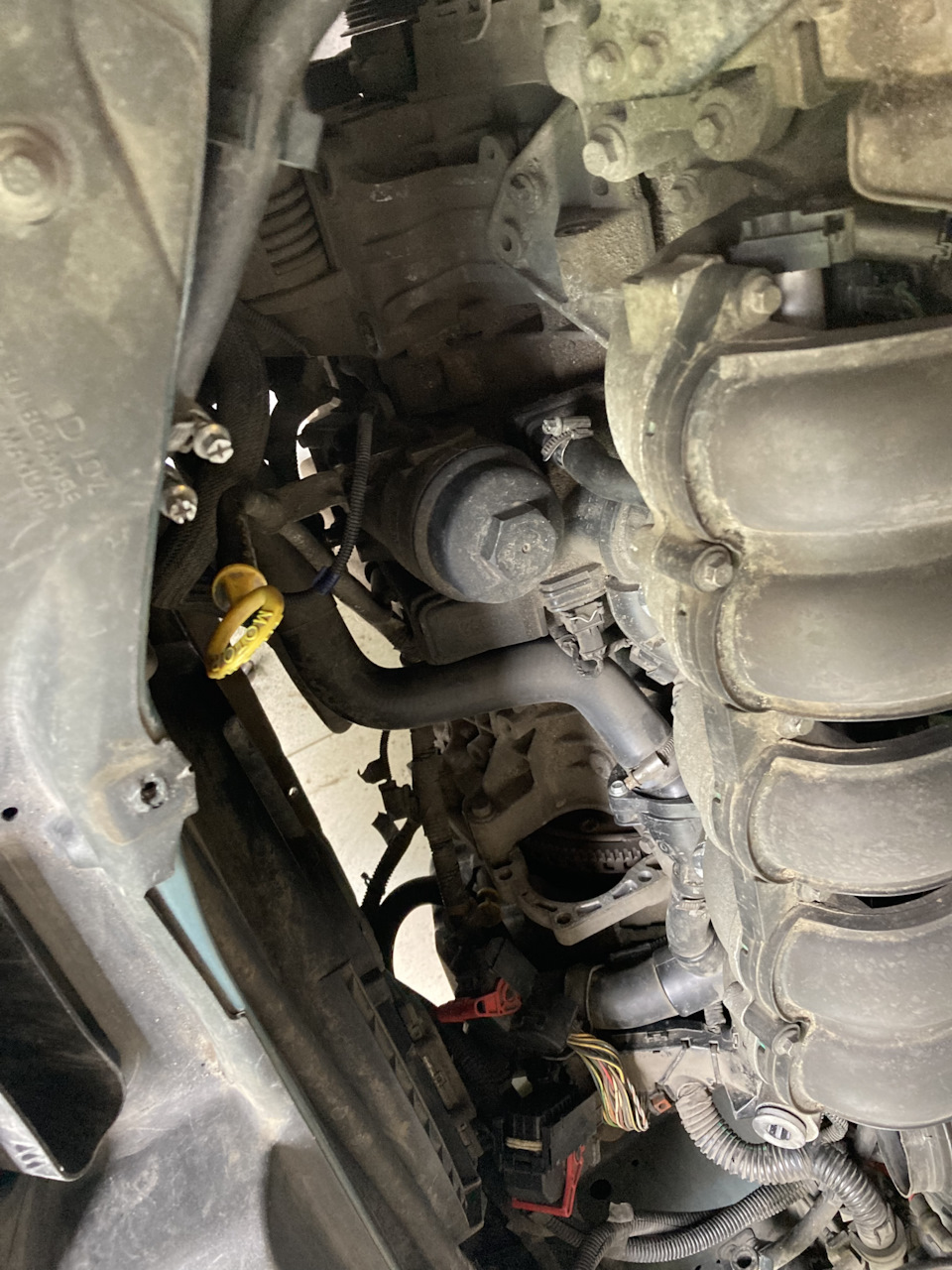 Фото в бортжурнале Volvo C30