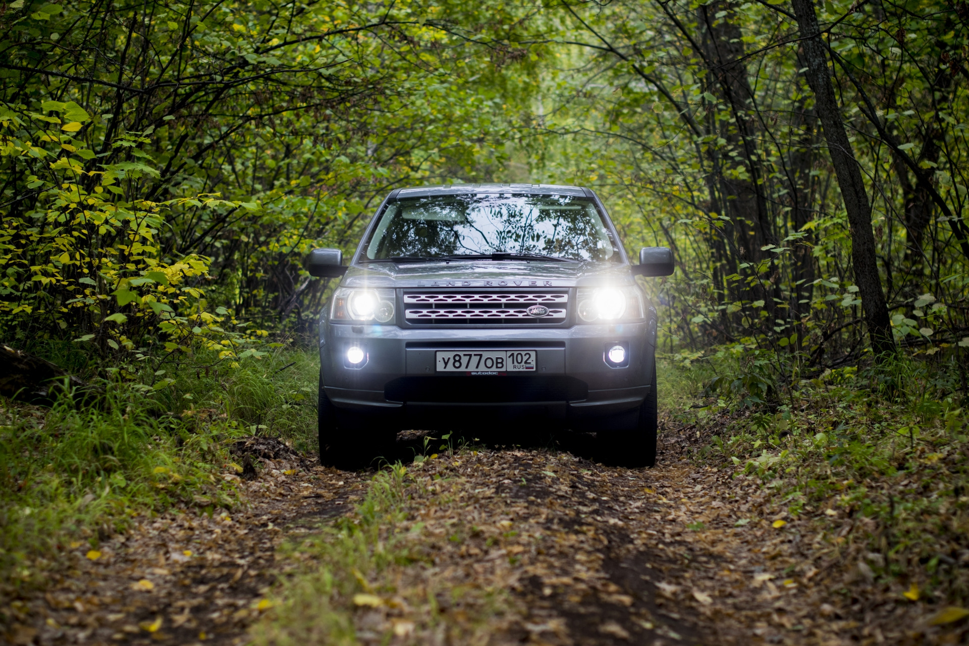 Land rover freelander 2 главная дорога