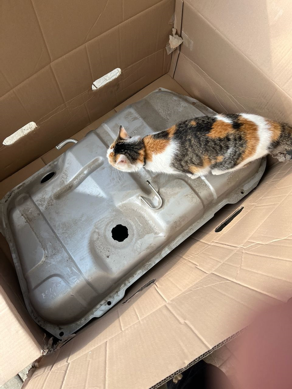 Потек топливный бак. Замена — Ford Escort Mk5, 1,6 л, 1992 года ...