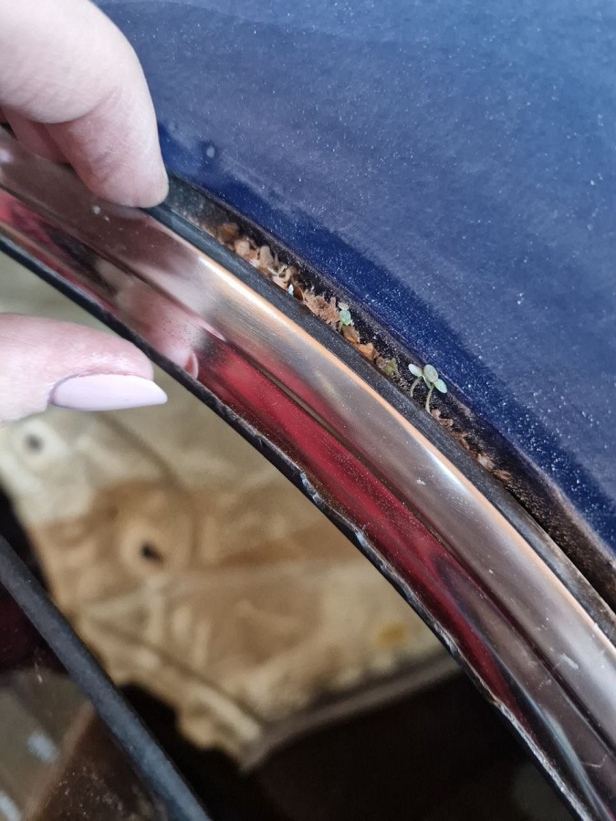 #10 Снятие молдингов двери и крыши — Toyota Mark II (90), 2,5 л, 1993 ...