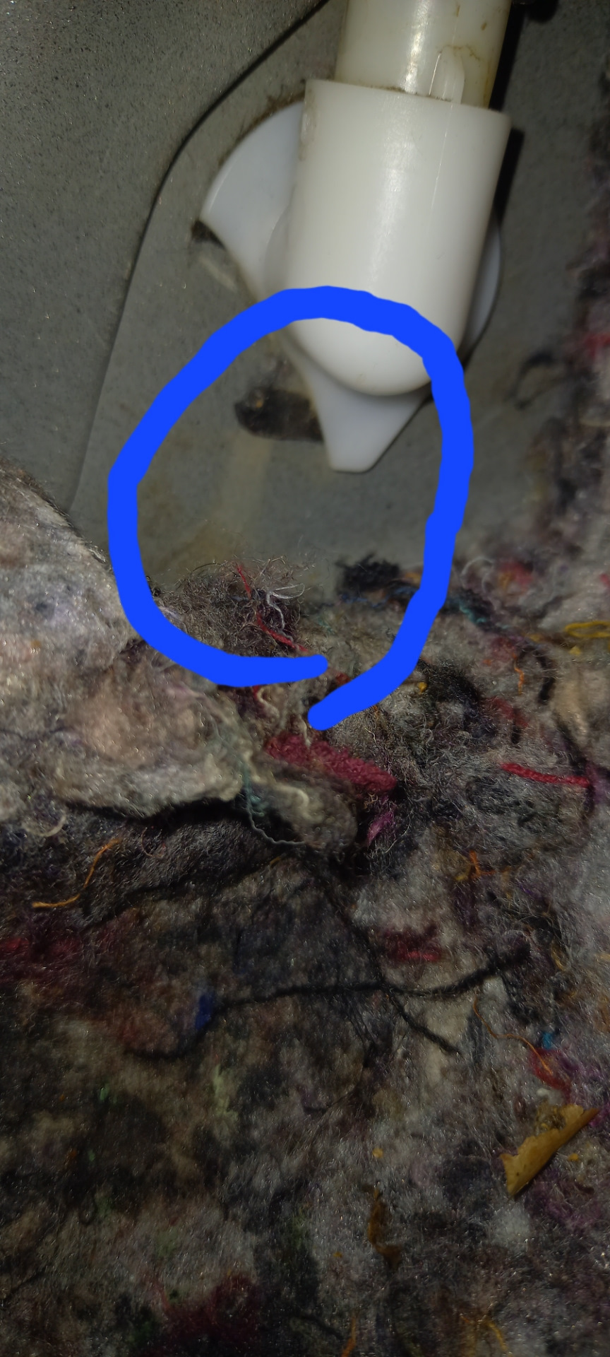 Вода под пассажирским ковриком — Ford Focus III Hatchback, 1,6 л, 2012 ...