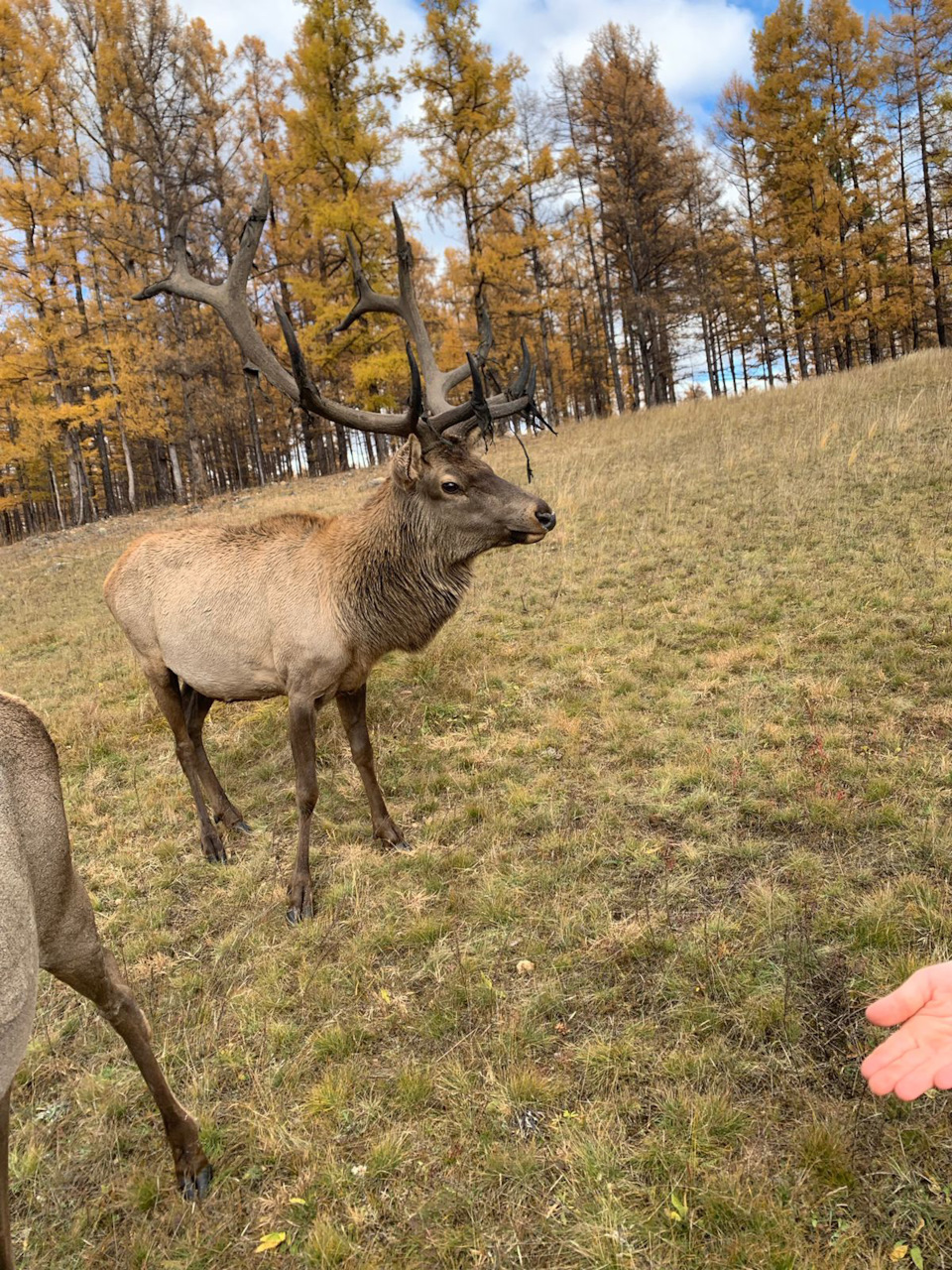 Фото в бортжурнале Chevrolet Tracker II