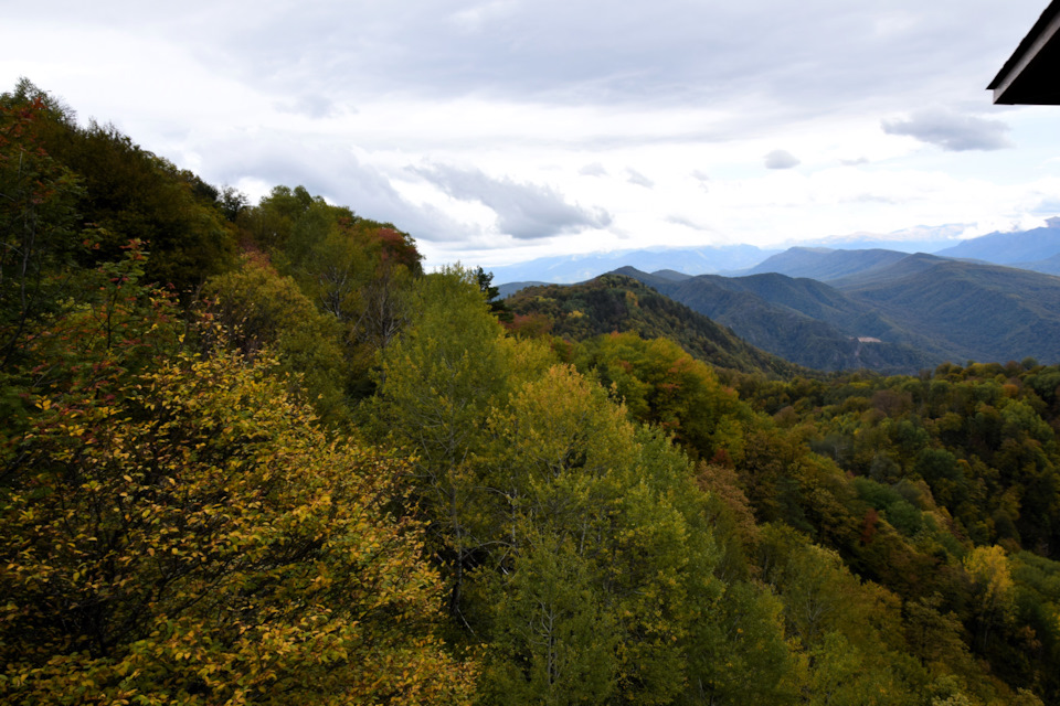 Фото в бортжурнале Renault Duster (1G)