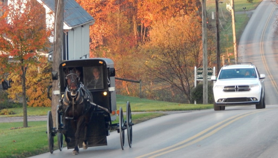 Фото в бортжурнале Kenworth T2000