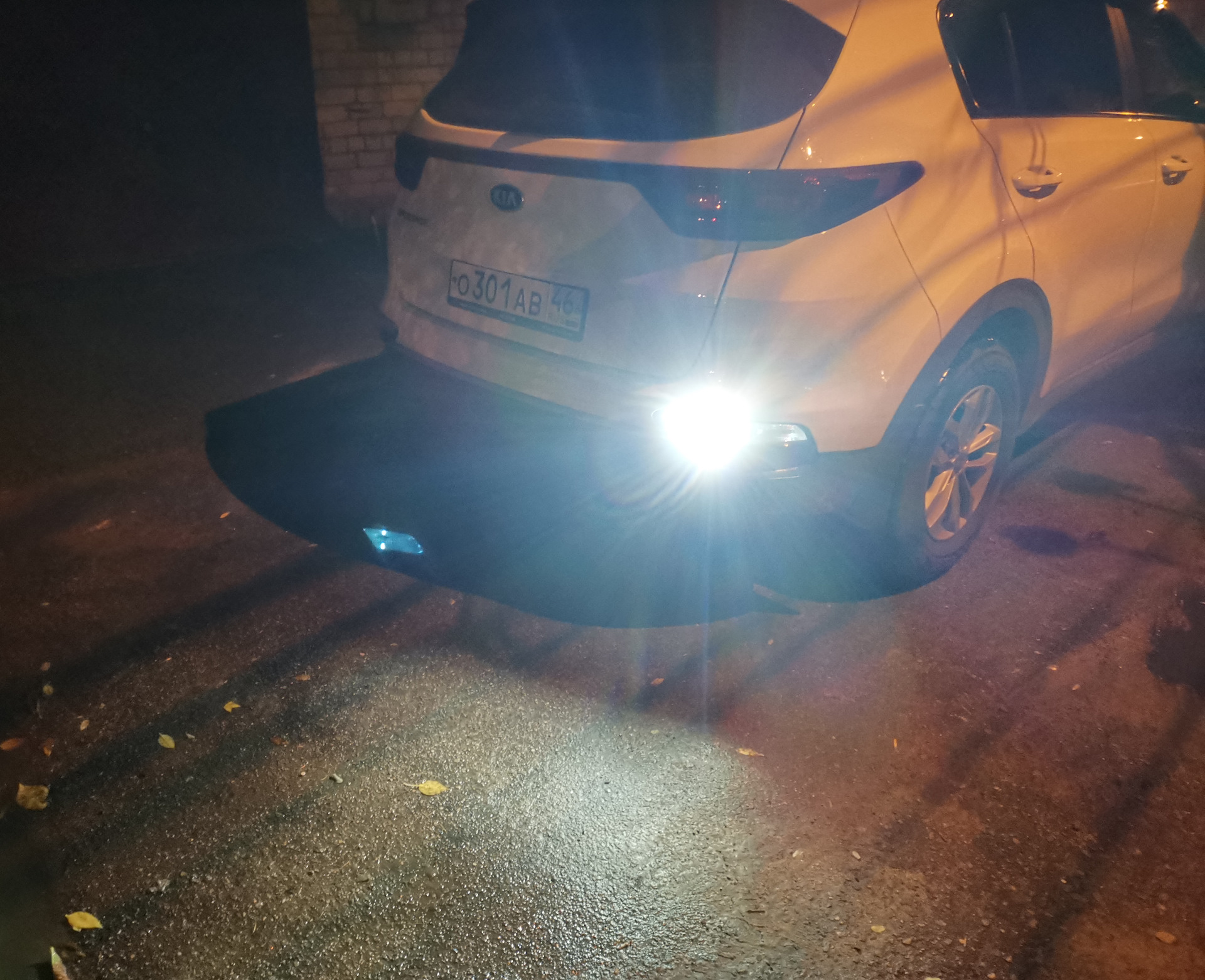 задний ход 2019