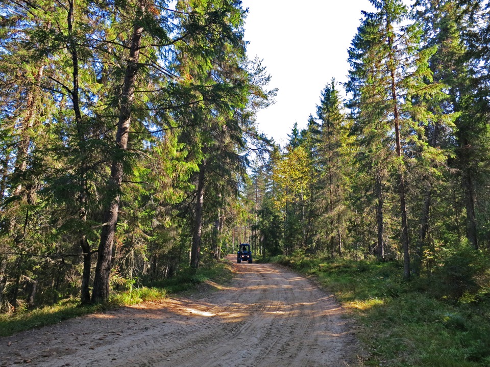 Пашозеро тихвинский район фото