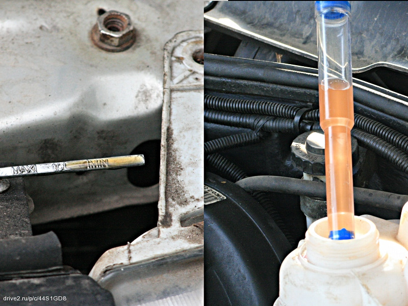 Фото в бортжурнале Daewoo Nexia (2G)