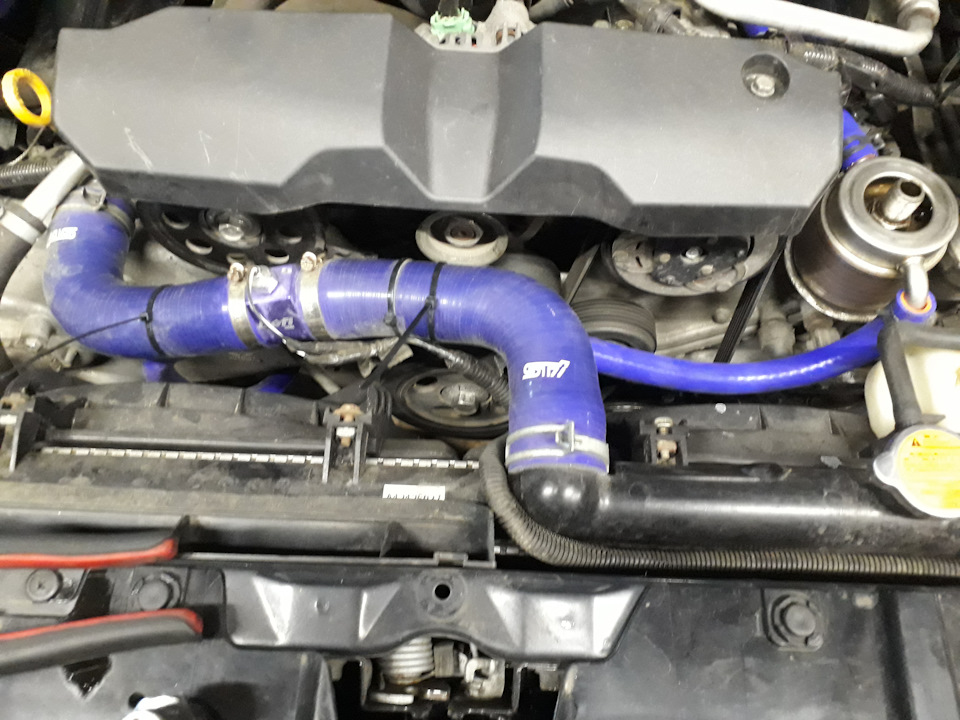 Фото в бортжурнале Subaru Forester (SH)
