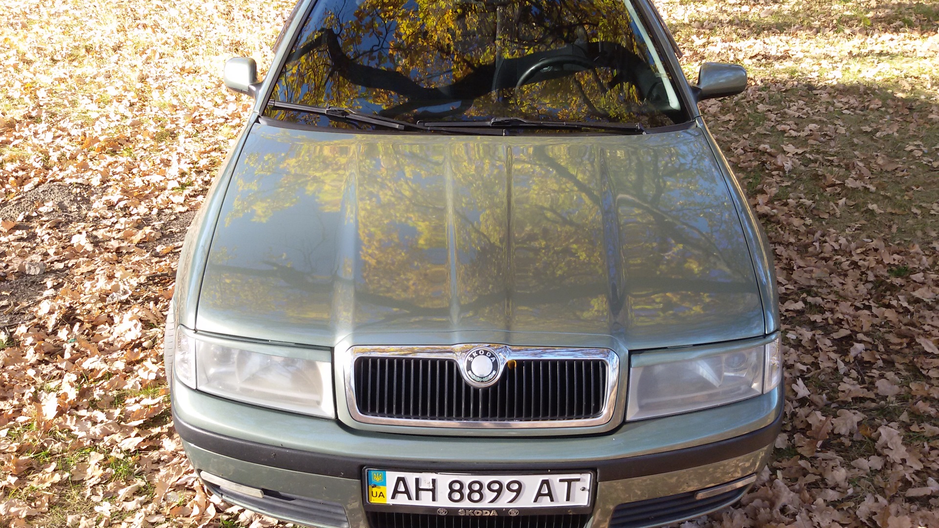 Skoda Octavia A4 Mk1 2.0 бензиновый 2001 | 2.0 