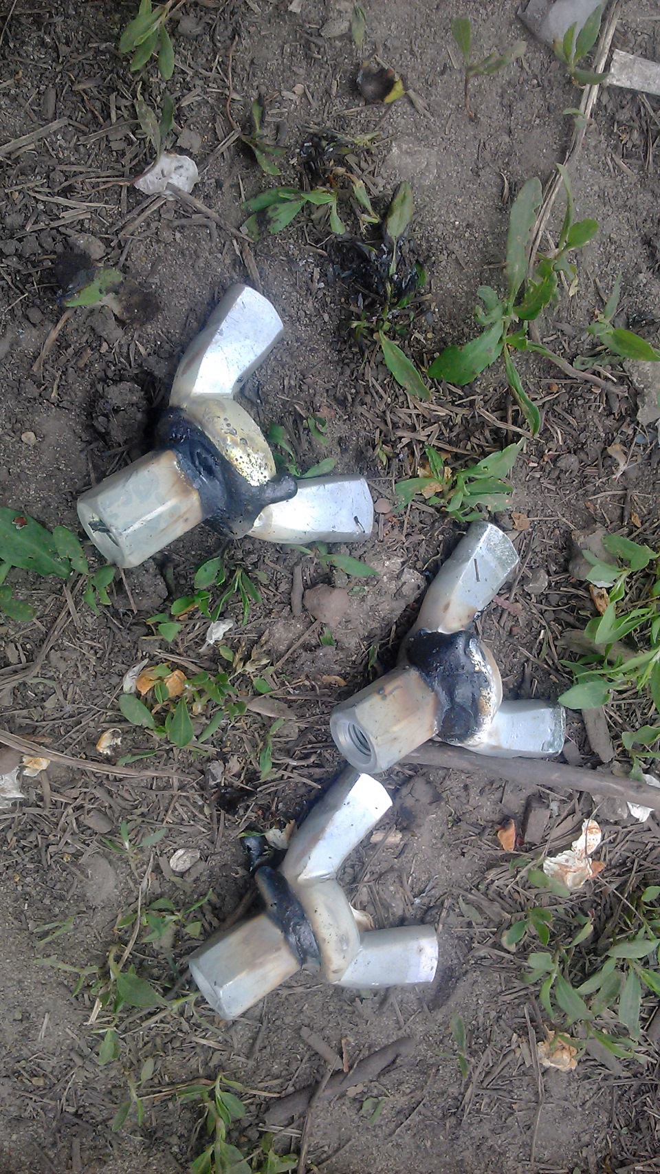 Фото в бортжурнале Great Wall Deer