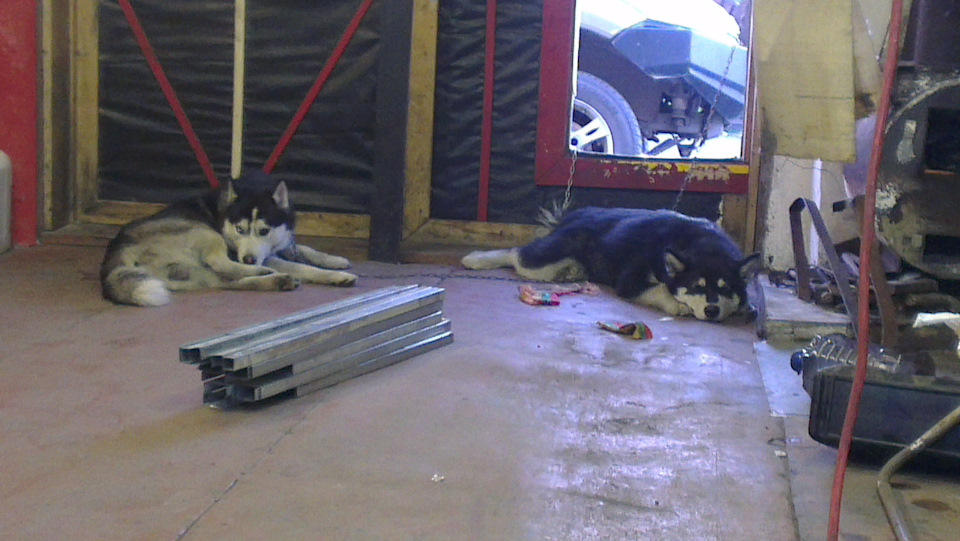 Залил супротек в КПП и ГУР — Great Wall Hover, 2 л, 2013 года ...