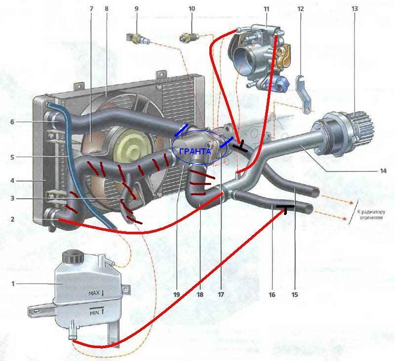 Гранта охлаждающей жидкости. Система охлаждения двигателя 1118. Лада Гранта 16 клапанная система охлаждения. Система охлаждения двигателя Лада Гранта. Охлаждающая система Лада Гранта.