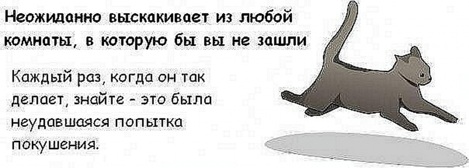 Как сделать так чтобы кот не заходил в комнату