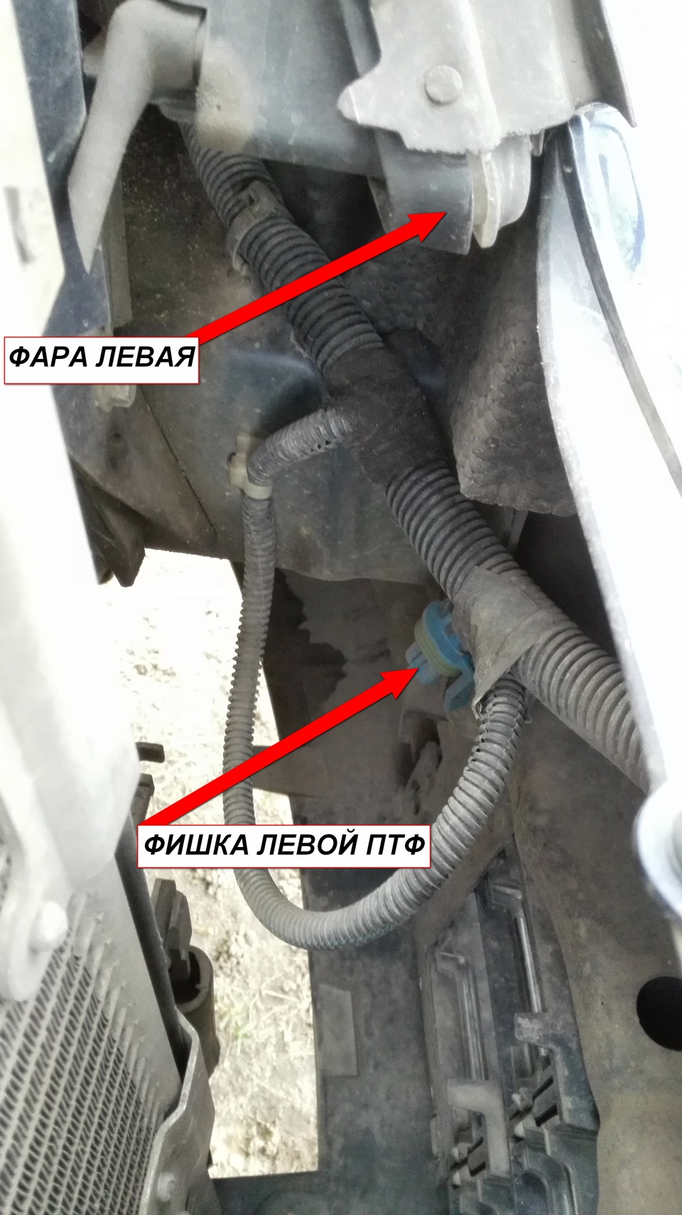 Заводская проводка под ПТФки — Opel Astra G, 1,4 л, 1999 года ...
