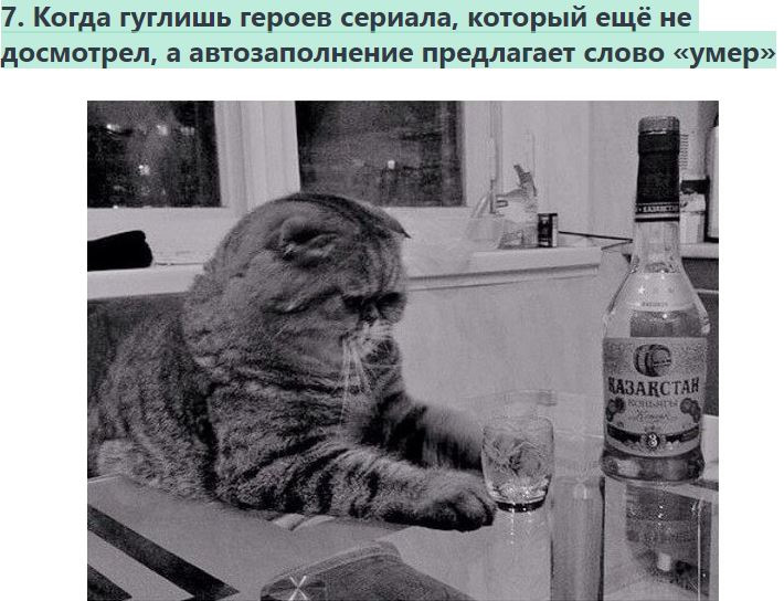 Кошки на душе скребут
