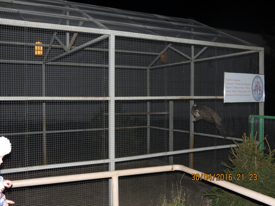 Фото в бортжурнале Haval H6 (1G)