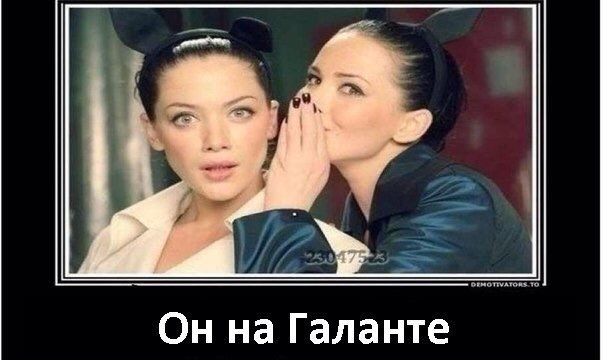 митсубиси галант в чем шутка. Смотреть фото митсубиси галант в чем шутка. Смотреть картинку митсубиси галант в чем шутка. Картинка про митсубиси галант в чем шутка. Фото митсубиси галант в чем шутка