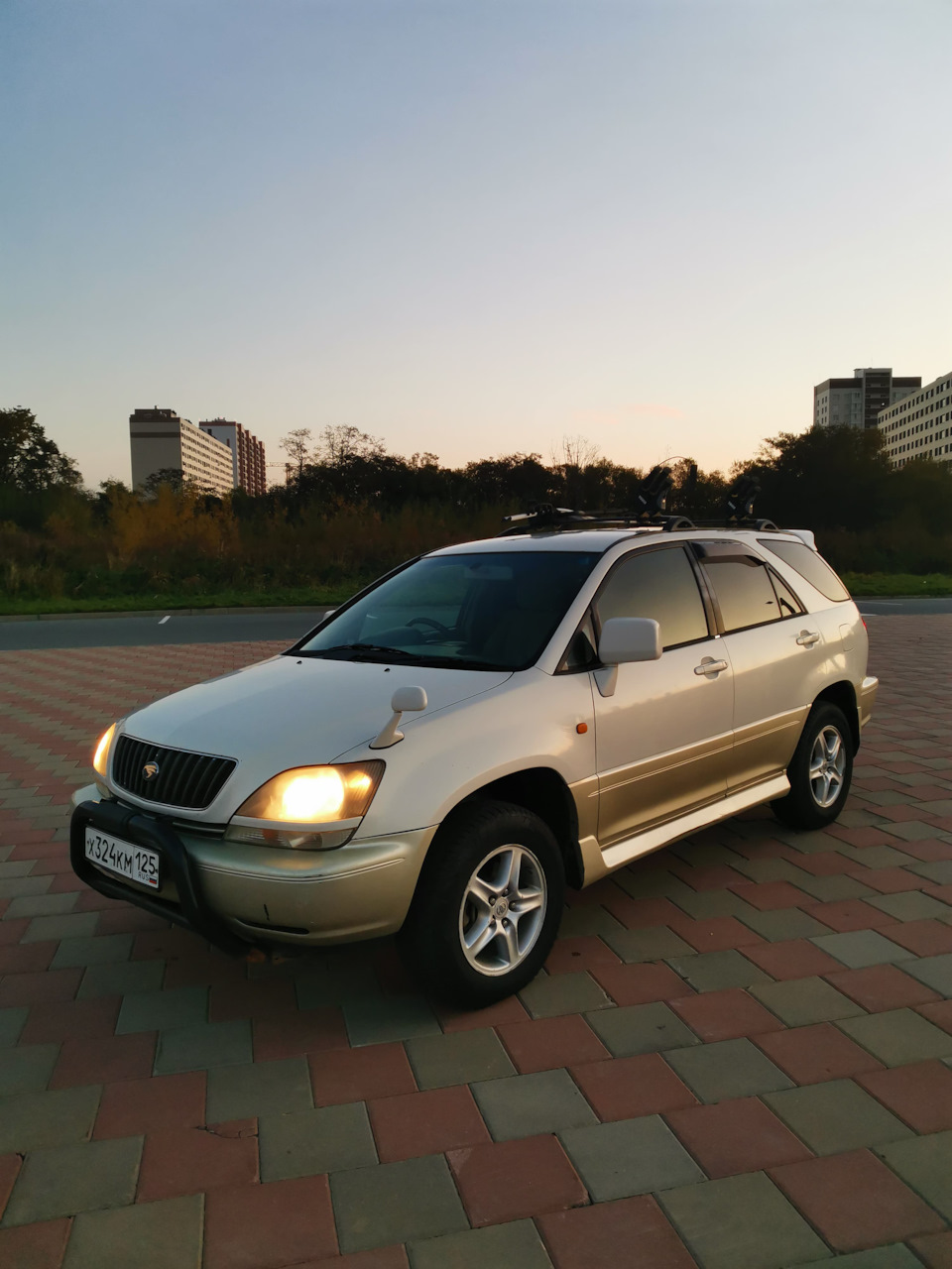 Может порыв, а может пора. — Toyota Harrier (1G), 2,2 л, 1998 года | продажа  машины | DRIVE2