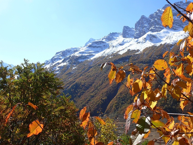 Осень В Горах Кавказа Фото