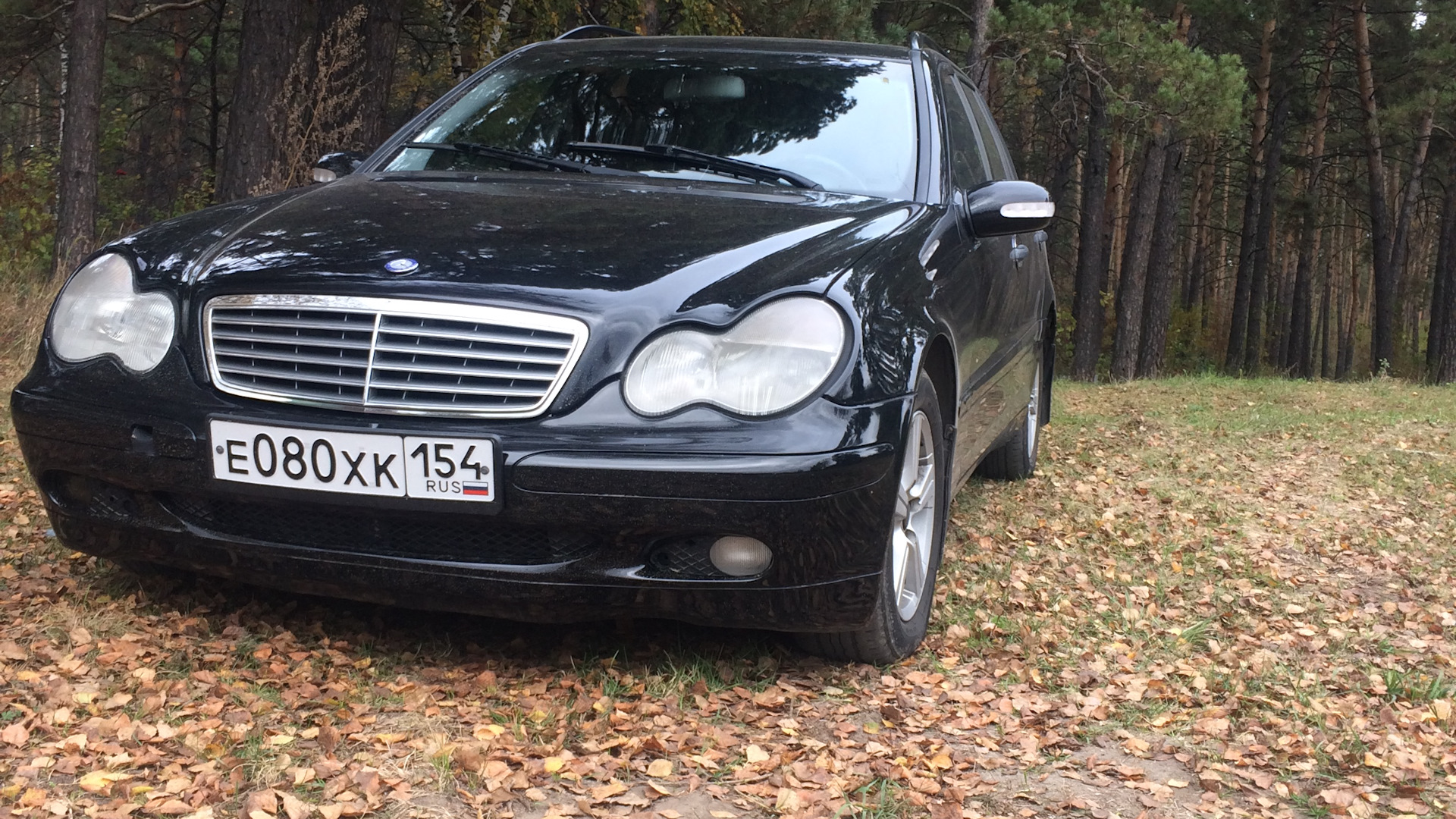 Жидкости w210. Мерседес яйцо