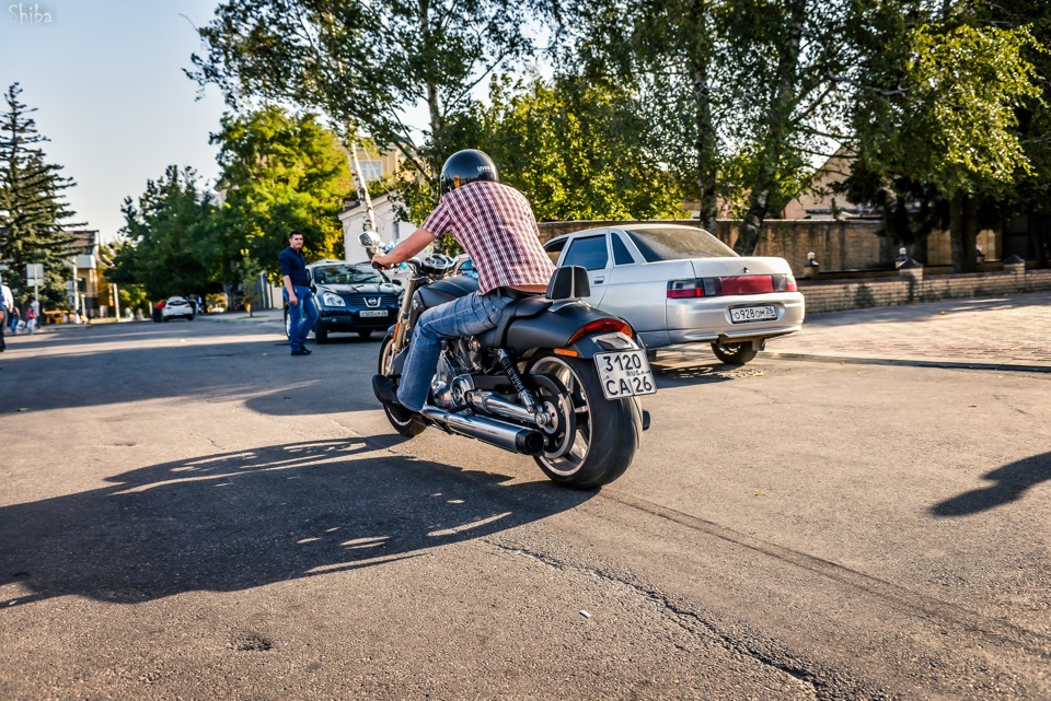 Мотоцикл харлей дэвидсон v rod custom. Смотреть фото Мотоцикл харлей дэвидсон v rod custom. Смотреть картинку Мотоцикл харлей дэвидсон v rod custom. Картинка про Мотоцикл харлей дэвидсон v rod custom. Фото Мотоцикл харлей дэвидсон v rod custom