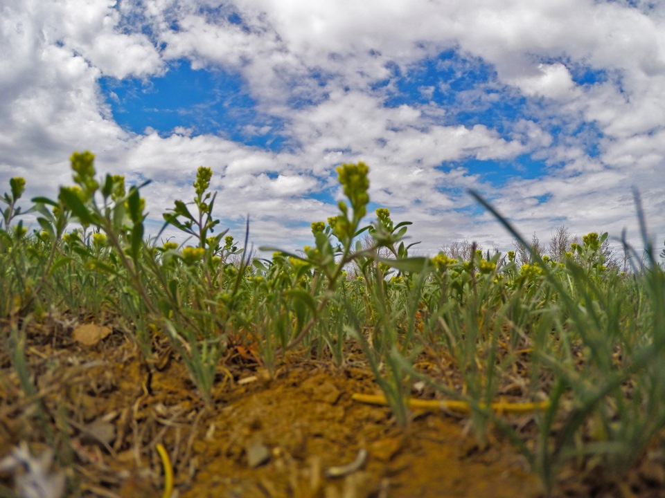 Дорога в Оренбург! — Daewoo Nexia (N150), 1,5 л, 2011 года | покатушки ...