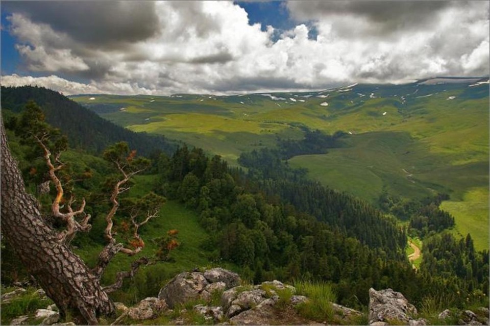 Плато заповедника Лагонаки