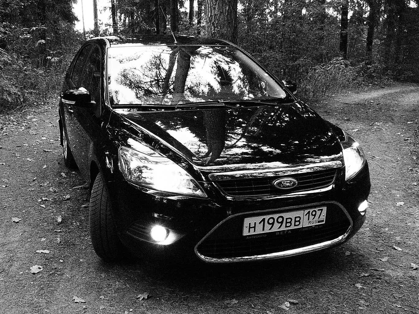 Машина в Лесу! — Ford Focus II Hatchback, 2 л, 2010 года | просто так |  DRIVE2