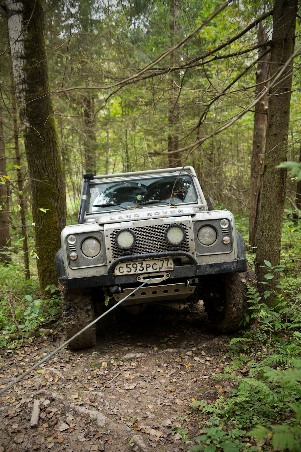 Сергиев посад, р-н Семхоз. Аномальный лес. 11.09.2016 Фото/видеоотчет —  Land Rover Defender, 2,2 л, 2012 года | покатушки | DRIVE2