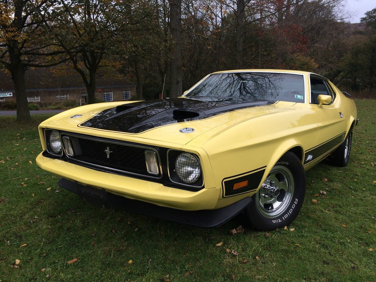 1973 Ford Mustang Front