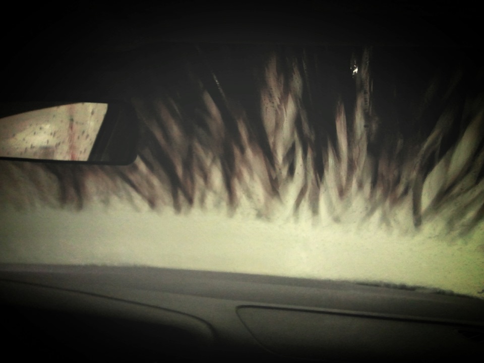 Фото в бортжурнале Volkswagen Polo Sedan