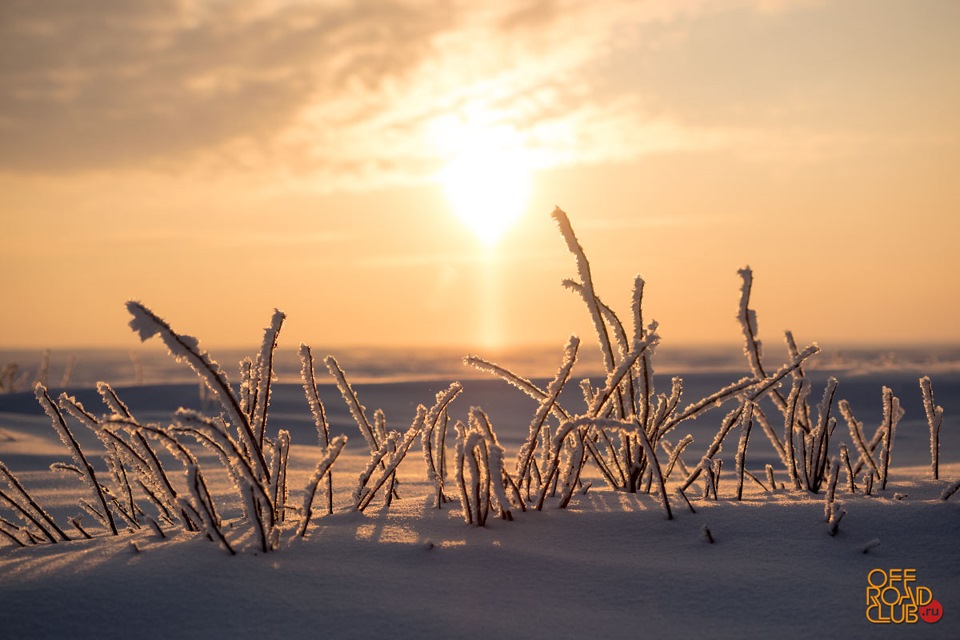 какая связь на варандее на. Смотреть фото какая связь на варандее на. Смотреть картинку какая связь на варандее на. Картинка про какая связь на варандее на. Фото какая связь на варандее на какая связь на варандее на. Смотреть фото какая связь на варандее на. Смотреть картинку какая связь на варандее на. Картинка про какая связь на варандее на. Фото какая связь на варандее на