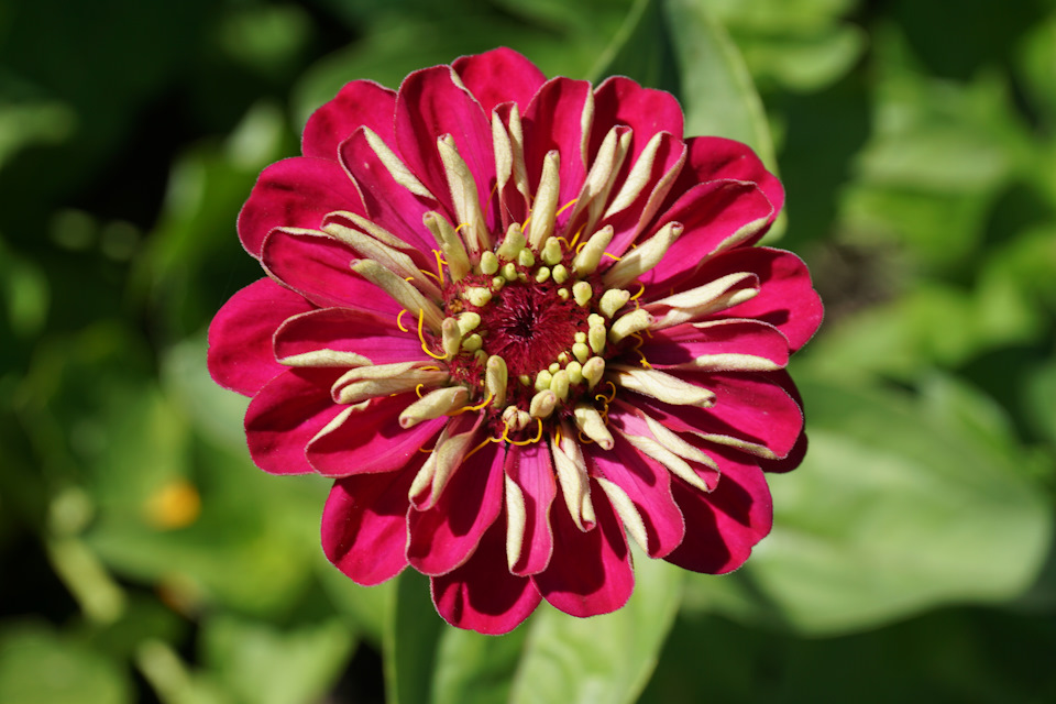 Фото в бортжурнале Nissan Murano II