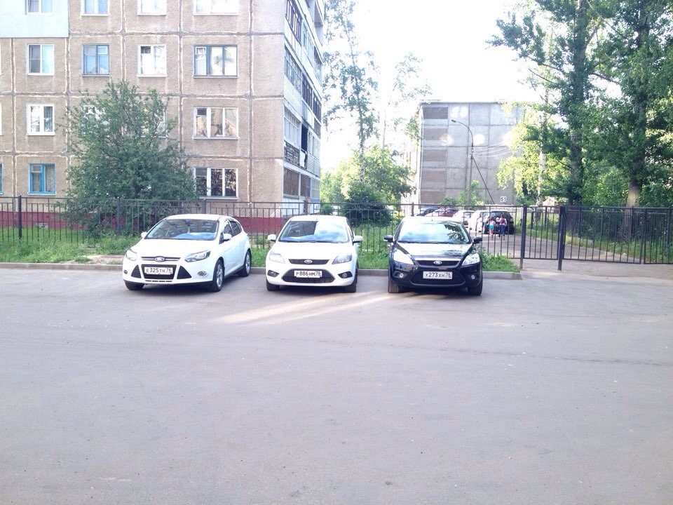 Сетка вместо решетки радиатора — Ford Focus II Sedan, 1,8 л, 2010 года ...