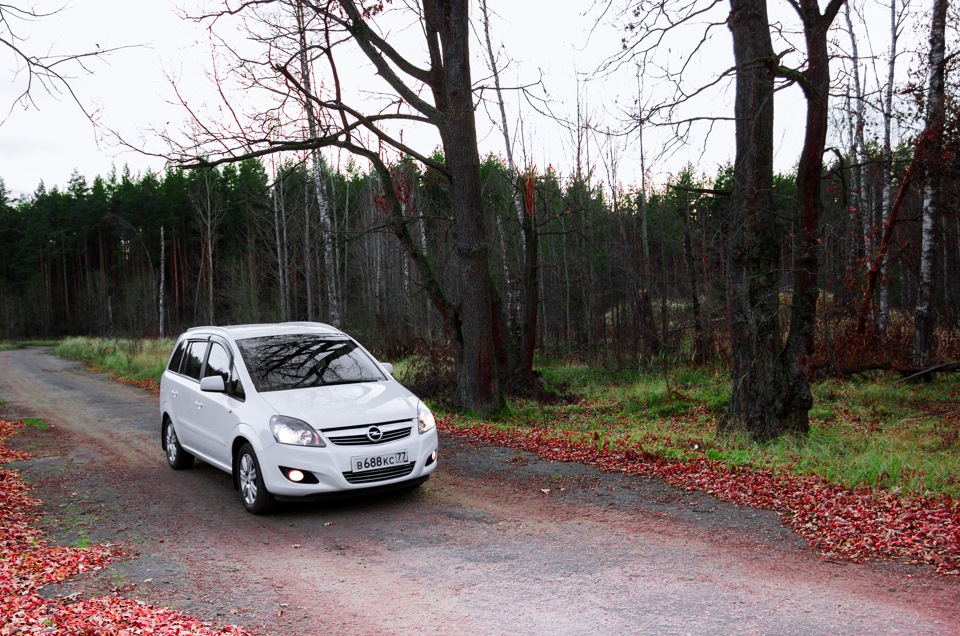 Решил пофотографировать Зефирину — Opel Zafira B, 1,8 л, 2012 года ...