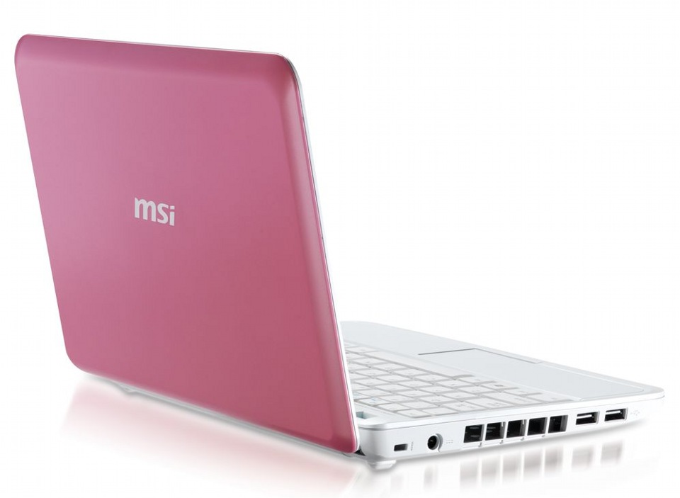 Msi 10. MSI Wind u100. Ноутбук MSI Wind u100. MSI Wind Notebook. Ноутбук MSI Wind u123t.