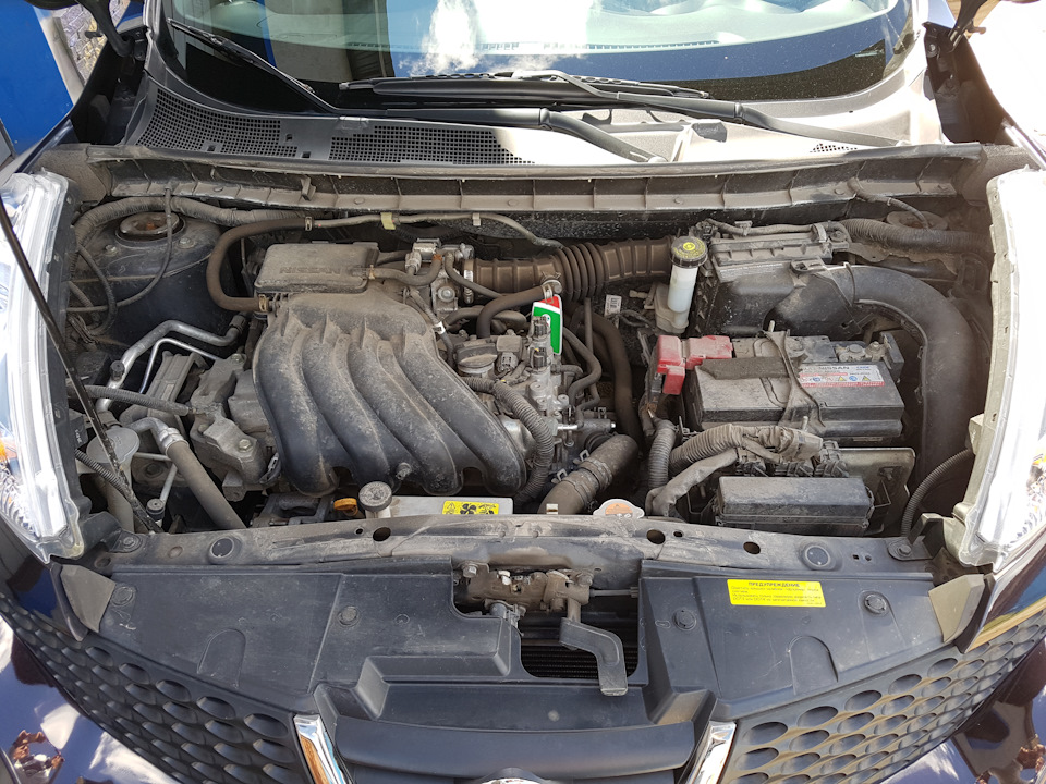 Сухая мойка двигателя Koch&Chemie — Nissan Juke (1G), 1,6 л, 2012 года ...