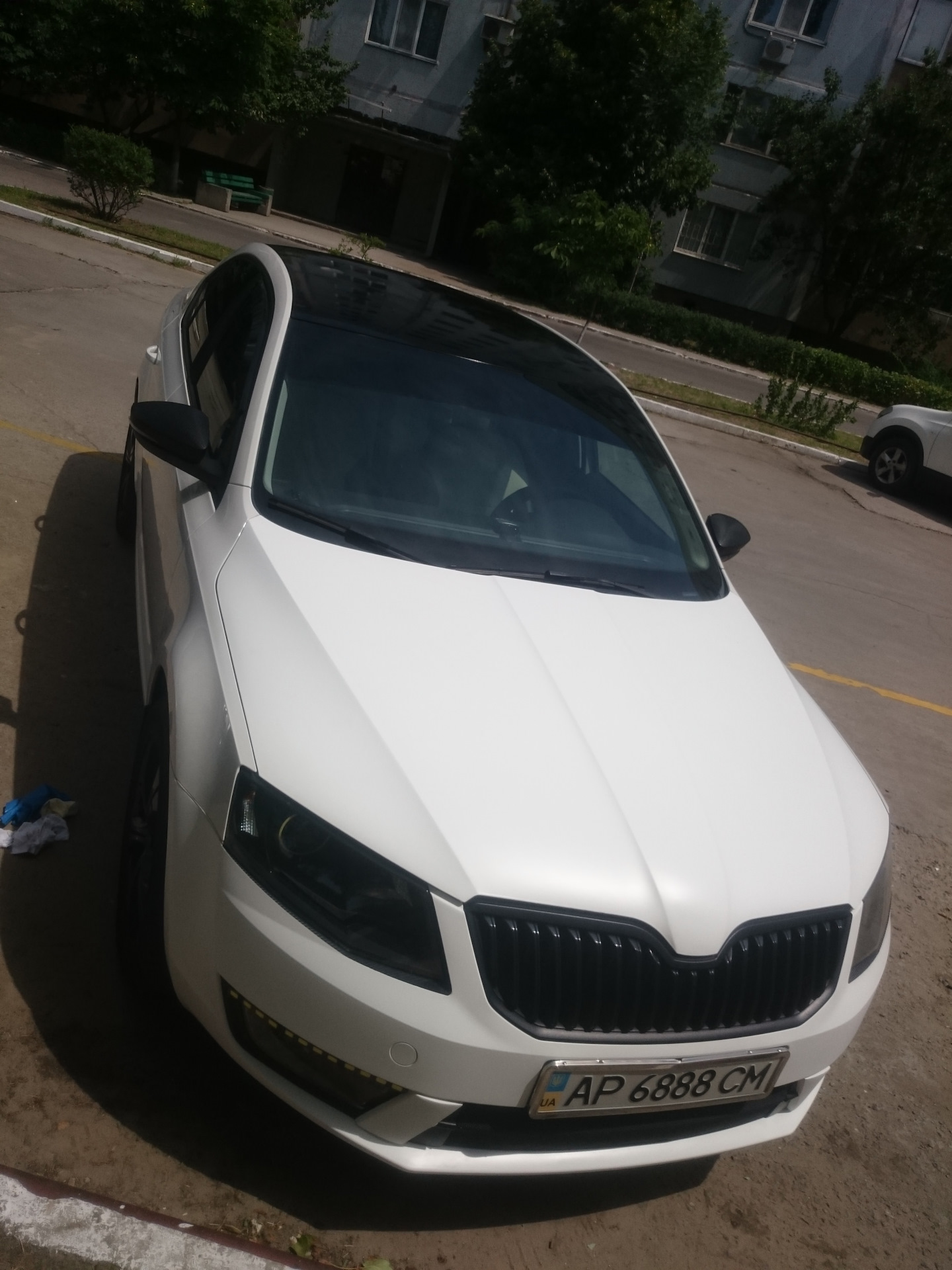 Вопрос ! Чем оттереть старую смолу ( прошлогоднюю ) ? — Skoda Octavia A7  Mk3, 2 л, 2013 года | мойка | DRIVE2