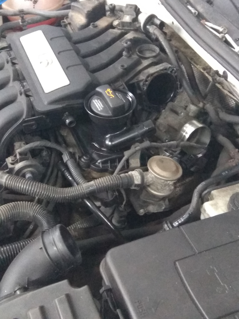 Замена прокладки клапанной крышки — Skoda Octavia A5 Mk2, 1,6 л, 2007 ...