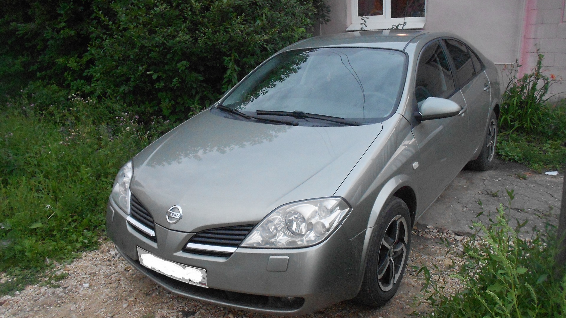 Nissan Primera (P12) 1.6 бензиновый 2005 | 1.6 МКПП Серозеленка на DRIVE2