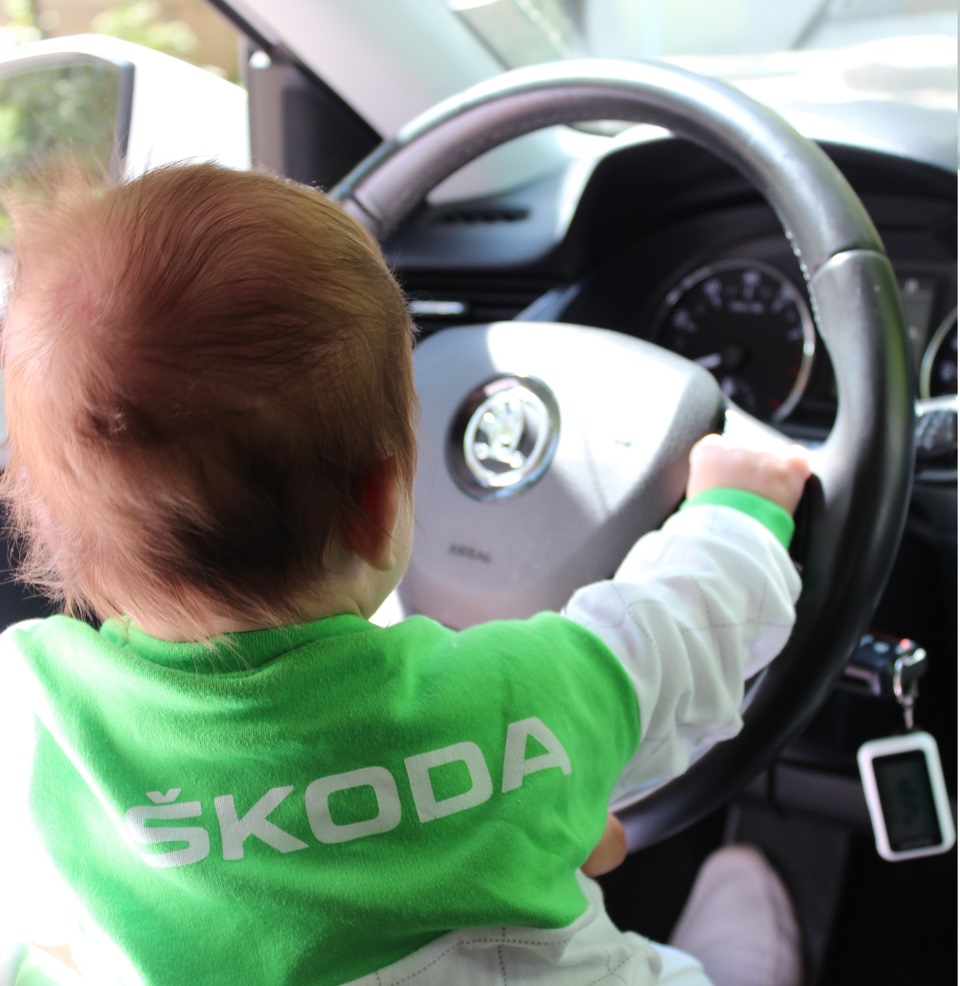 растет шкодник! — Skoda Octavia A7 Mk3