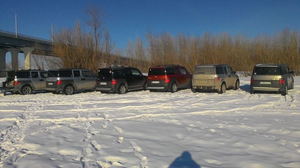 Фото в бортжурнале Honda Element