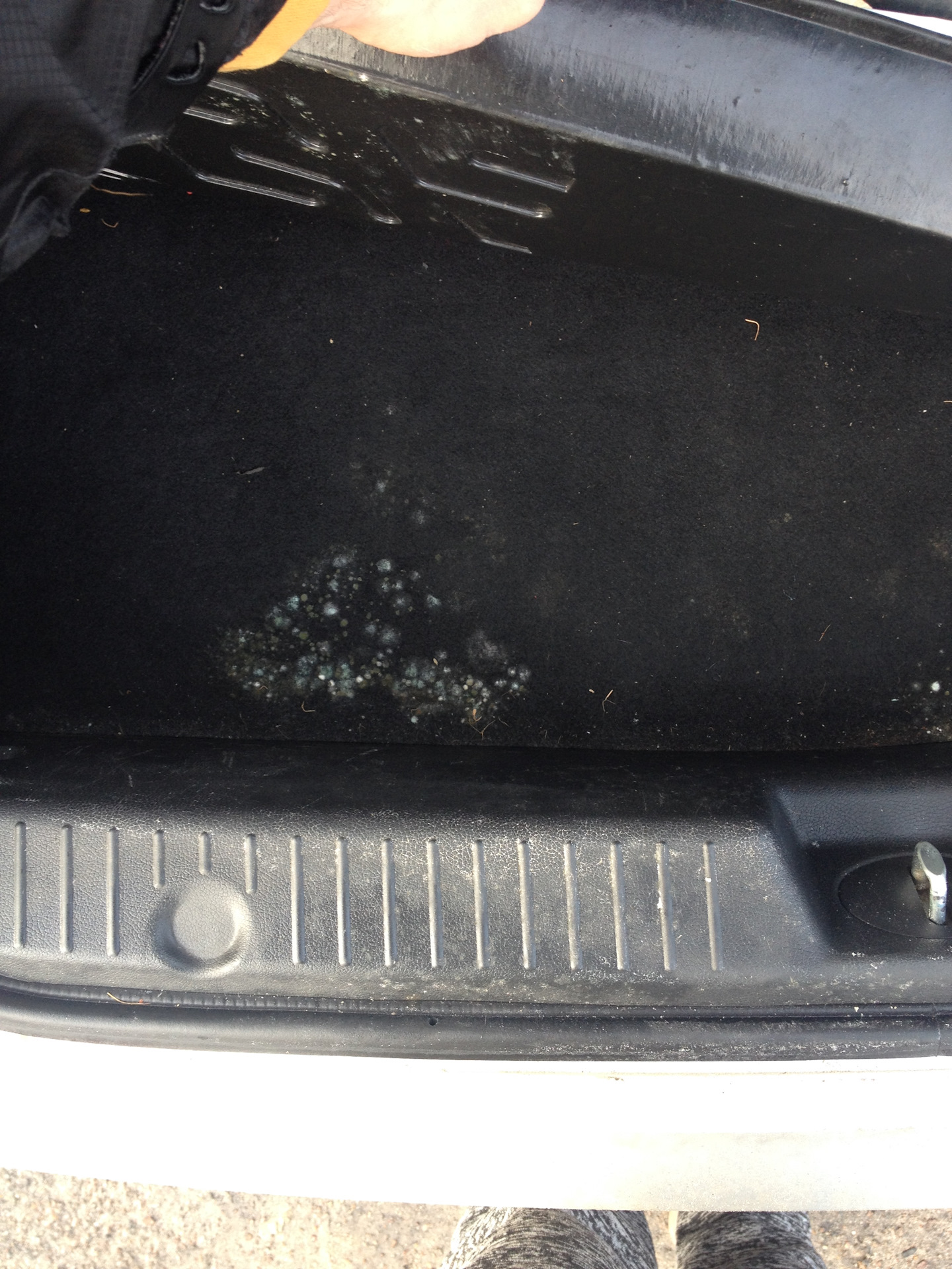 Конденсат в багажнике — Hyundai Sonata VI (YF), 2 л, 2011 года ...