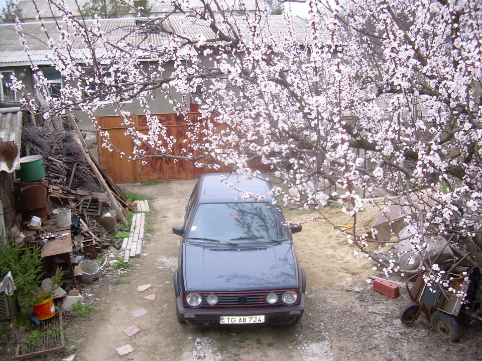 AB724 HOLA Подшипник полуось заднего моста GAZ 3102 / 3110 / 31105 ...