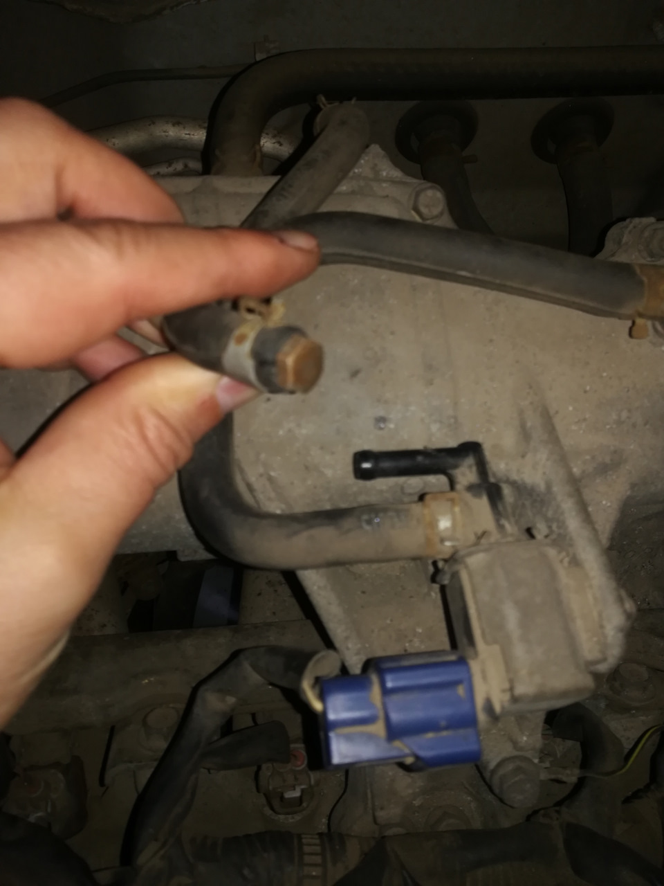 Нужна подсказка. — Nissan Almera II (N16), 1,5 л, 2005 года ...