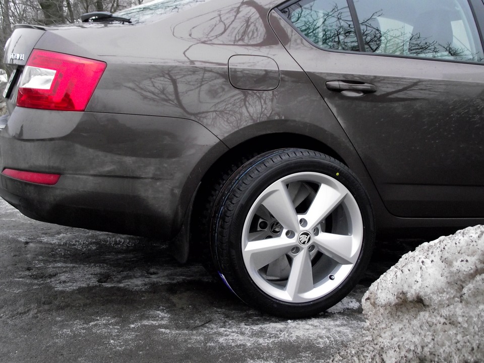 Фото в бортжурнале Skoda Octavia A7 Mk3