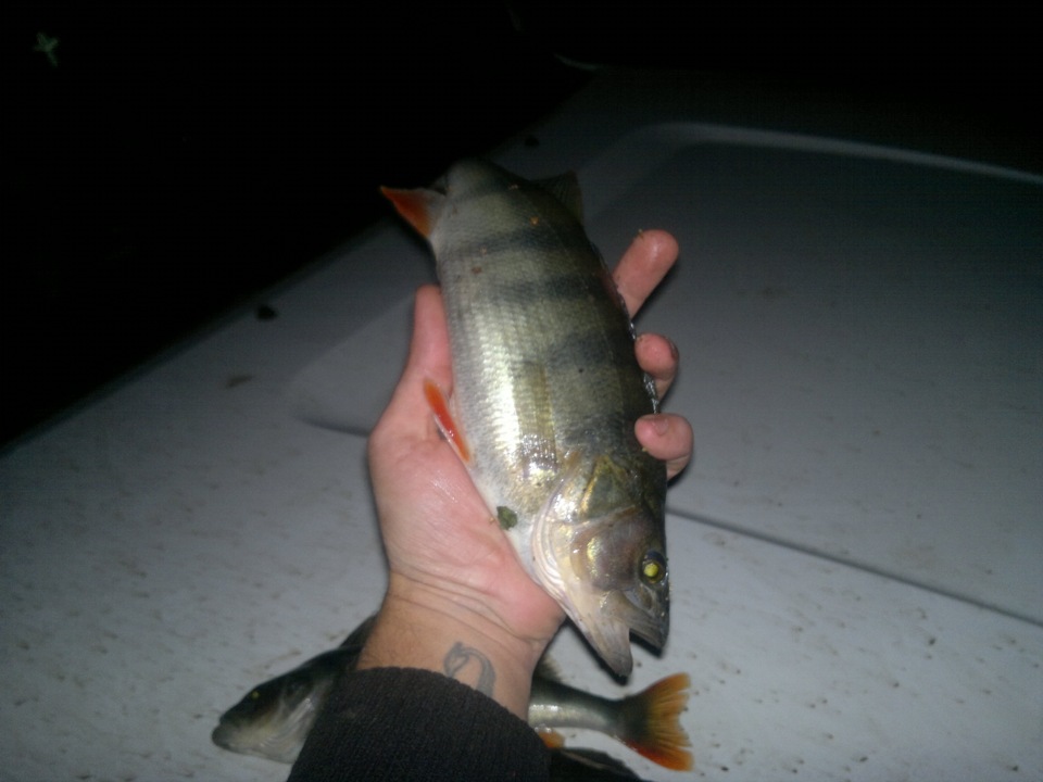в Саратов " ПЕРЕЛЮБ" — Great Wall Hover, 2 л, 2011 года | путешествие ...
