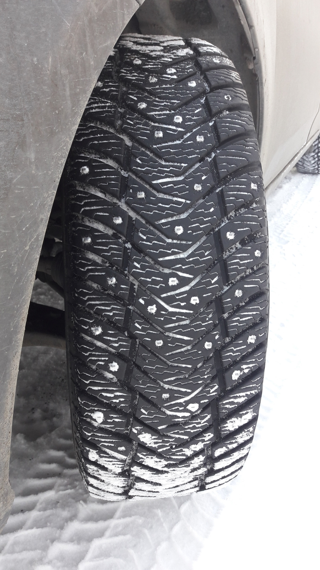 Зима шип отзывы. Yokohama Ice Guard ig65. Зимняя резина Yokohama Ice Guard ig65. 215/55r17 98t XL ICEGUARD stud ig65 (шип.).