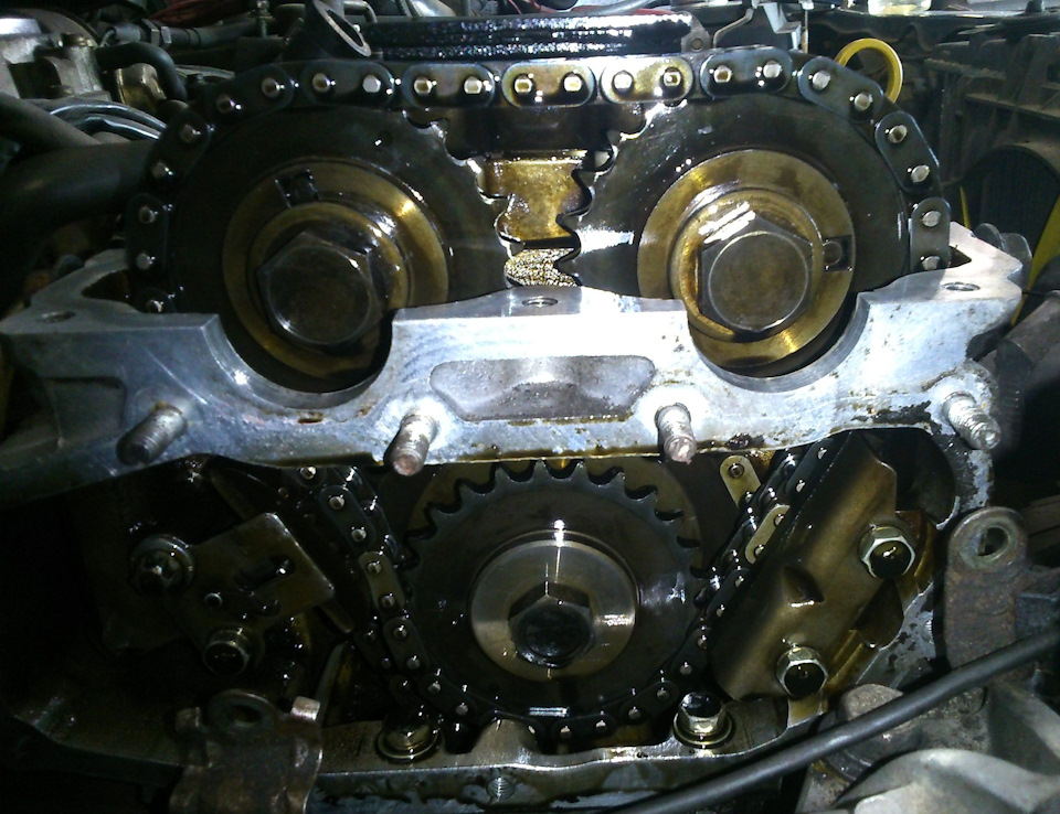 Экспертный уровень замены цепи ГРМ Nissan Primera в Юнион Моторс
