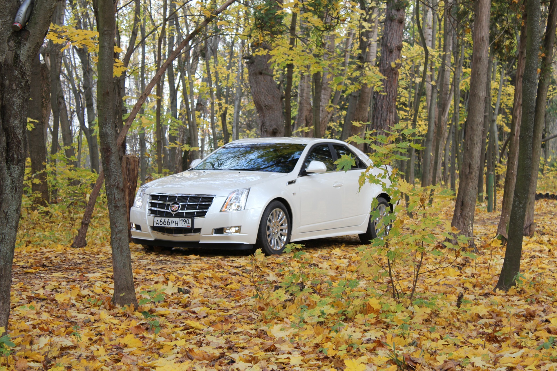 Фото в бортжурнале Cadillac CTS (2G)